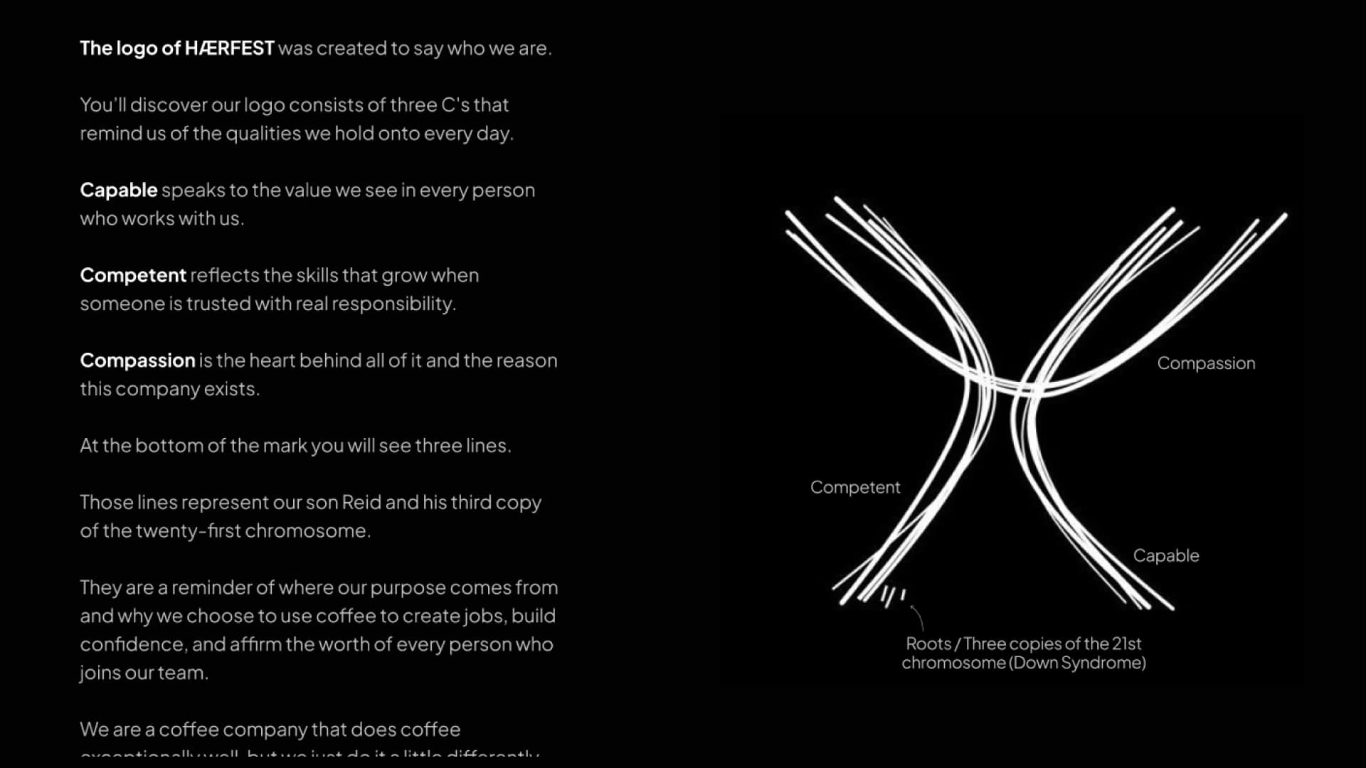 Homepage mockup highlighting the color-based sensory journey — image 1
